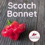 Scotch Bonnet Chili Jam