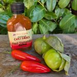 Red Tomatillo Salsa Sauce